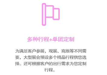 多種行程可選，還可根據(jù)參展企業(yè)的情況，私人個(gè)性訂制商旅行程！